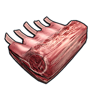 Boars