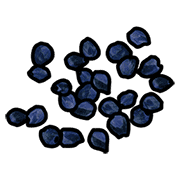 Blue Seeds