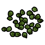 Green Seeds