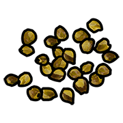 Yellow Seeds